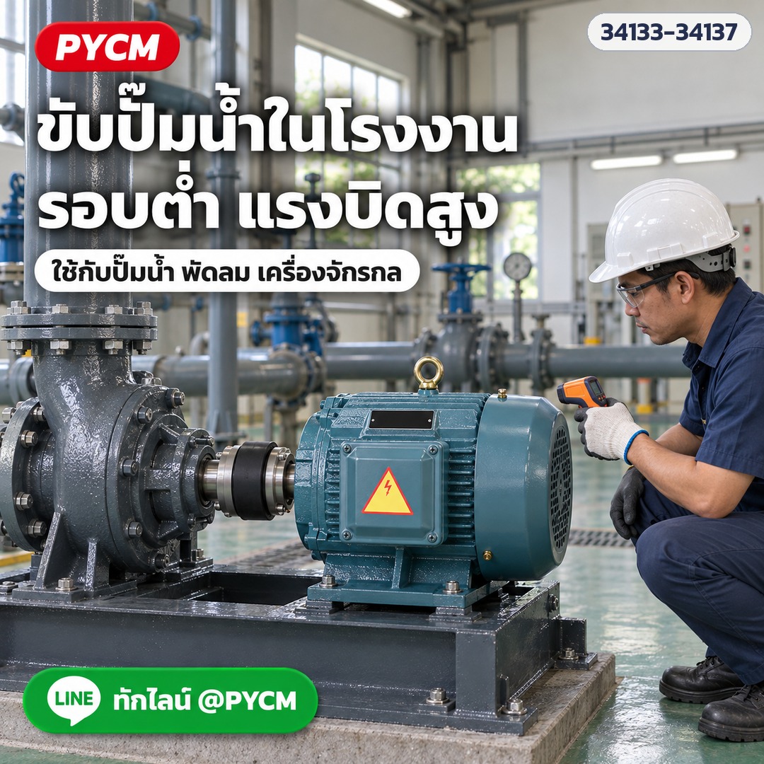 มอเตอร์ไฟฟ้า 3 เฟส YE3 8 โพล – ขับปั๊มน้ำในโรงงานผ่านคัปปลิ้ง รอบต่ำ แรงบิดสูง