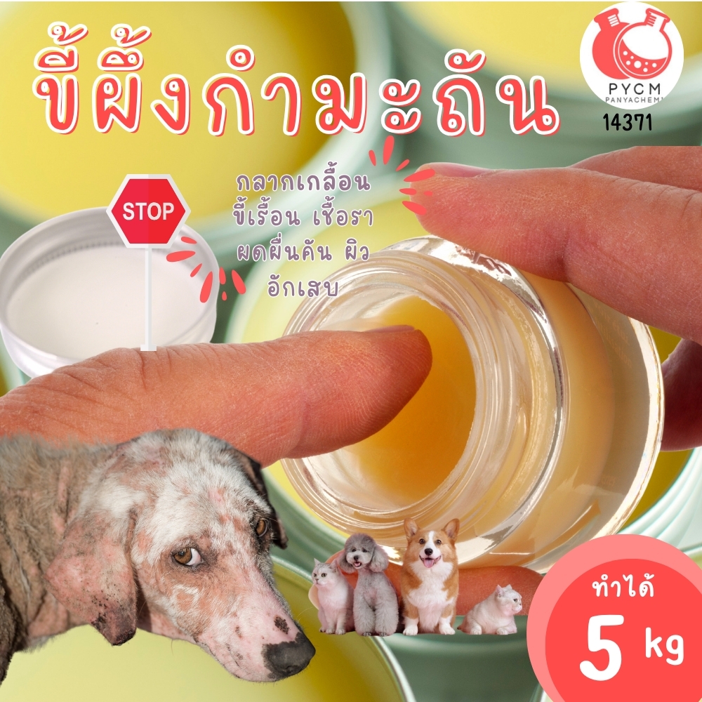 14371 ชุดทำ ขี้ผึ้งเม้นจ์ ขี้ผึ้งกำมะถัน ทาแก้กลากเกลือน เรื้อน ลดเชื้อรา-5kg