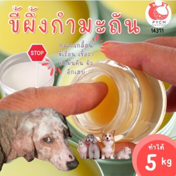 14371 ชุดทำ ขี้ผึ้งเม้นจ์ ขี้ผึ้งกำมะถัน ทาแก้กลากเกลือน เรื้อน ลดเชื้อรา-5kg