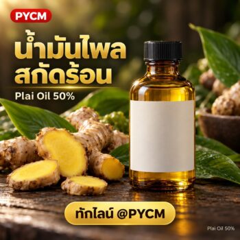 น้ำมันไพล สกัดร้อน Plai Oil 50% (Zingiber Cassumunar Root Oil) สำหรับยาหม่อง น้ำมันนวด สปา