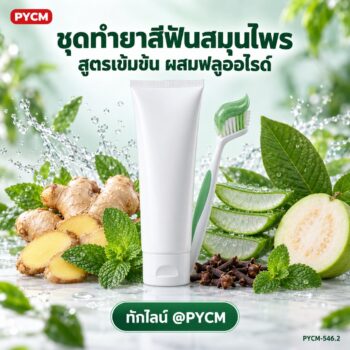 ชุดทำ ยาสีฟันสมุนไพรสูตรเข้มข้น ผสมฟลูออไรด์ (5 กก.) ขิง ว่านหาง กานพลู ข่อย ใบฝรั่ง เปปเปอร์มินต์ PYCM-546.2