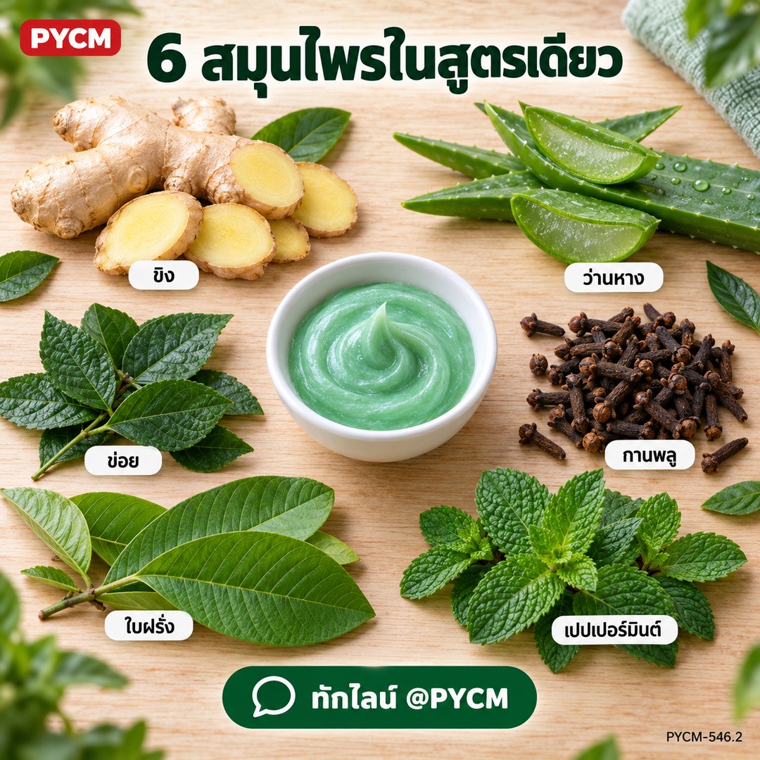 ชุดทำ ยาสีฟันสมุนไพรสูตรเข้มข้น ผสมฟลูออไรด์ (5 กก.) ขิง ว่านหาง กานพลู ข่อย ใบฝรั่ง เปปเปอร์มินต์ PYCM-546.2 - Image 3
